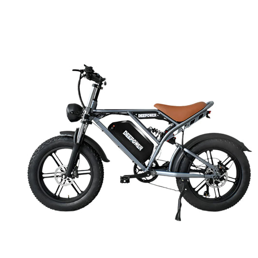 Electric Bicycle 20" Fat Tires Dual Battery 48V 55Ah