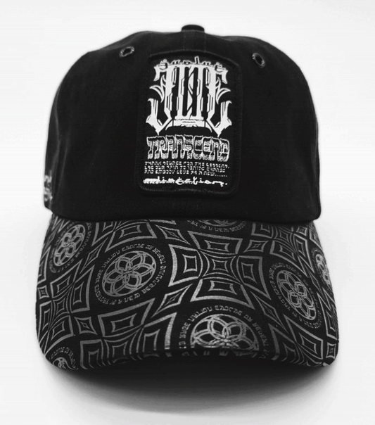 333 EVOLVE or REPEAT ✦ Dad Hat