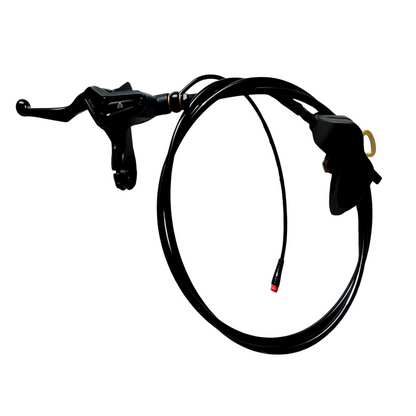 Brake Assembly