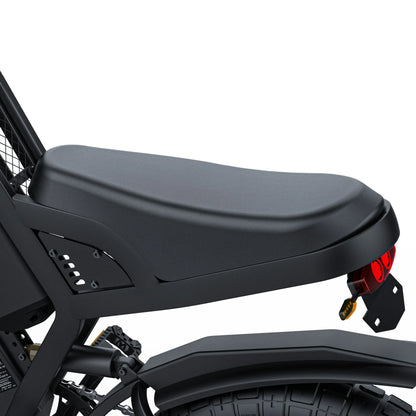 Coswheel Ebike GT20 Adult Electric Motorcycle Mountain Bikes 20Inch 48V Electric bike Fatbike Adult Motorcycles Drit bike