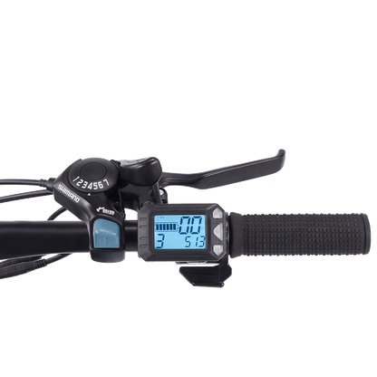 Viribus Panther Electric Mountain Bike