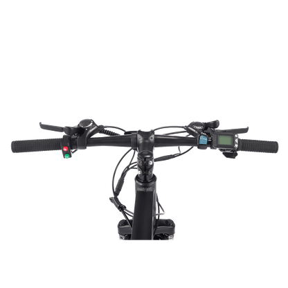 Viribus Panther Electric Mountain Bike