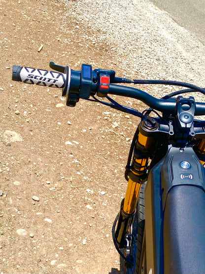 Talaria Governer Switch (V2)