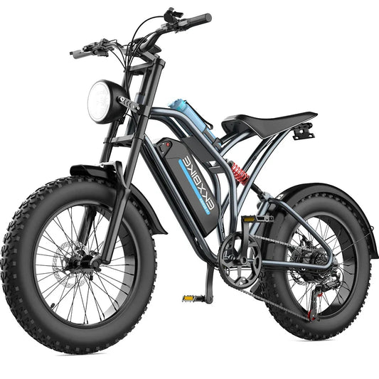 1000W Fat Tire Electric Bike for Adults