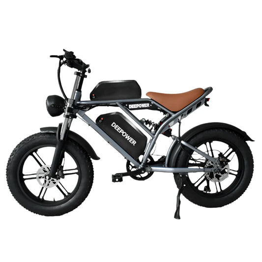 Electric Bicycle 20" Fat Tires Dual Battery 48V  55Ah