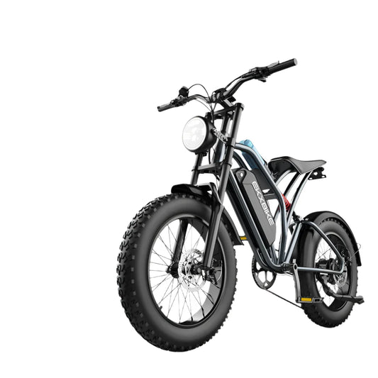 1000W Fat Tire Electric Bike for Adults