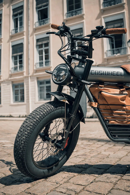 Coswheel Electric Bike CT20 1500W Motorcycle 20Inch Fatbike Ebike Mountain bike 48V 25AH Bikes Adult Electric Bicycle Motocycles