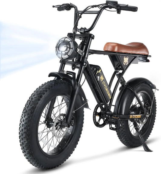 Off-Road Electric Bike  Powerful and Versatile