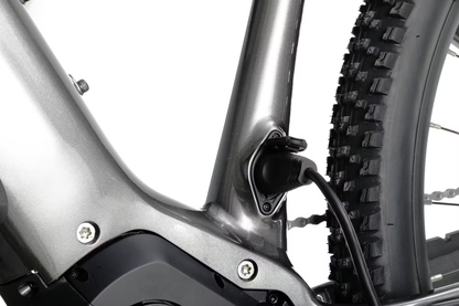 Aventon RAMBLAS eMTB